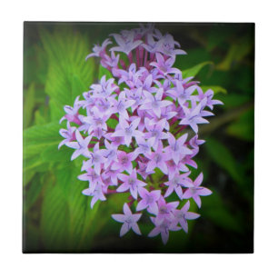 Tropical Purple Hawaiian Flowers Tile