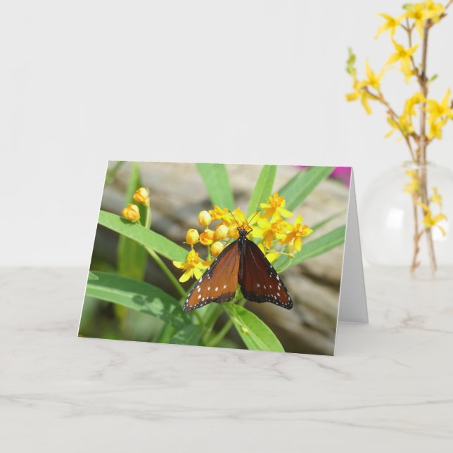 Tropical Queen Butterfly, FL - card (Yellow Flower)