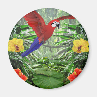 Tropical Rain Forest Magnet