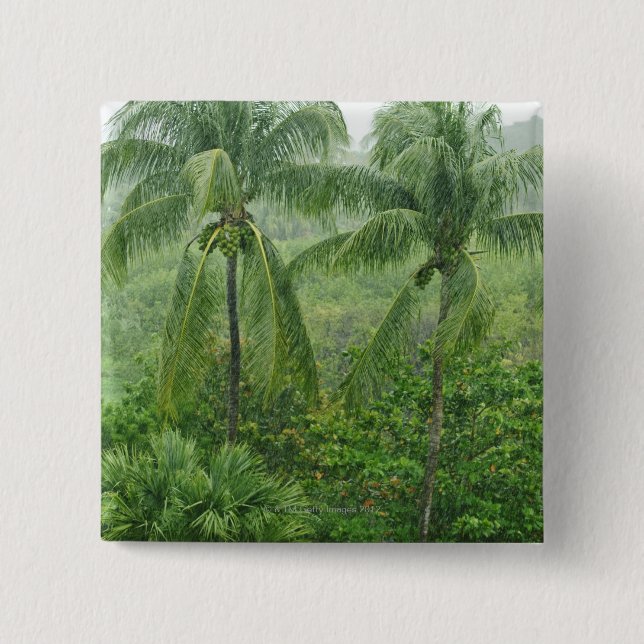 Tropical rainforest 15 cm square badge (Front)