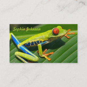 Tropical rainforest green red-eyed tree Frog Business Card