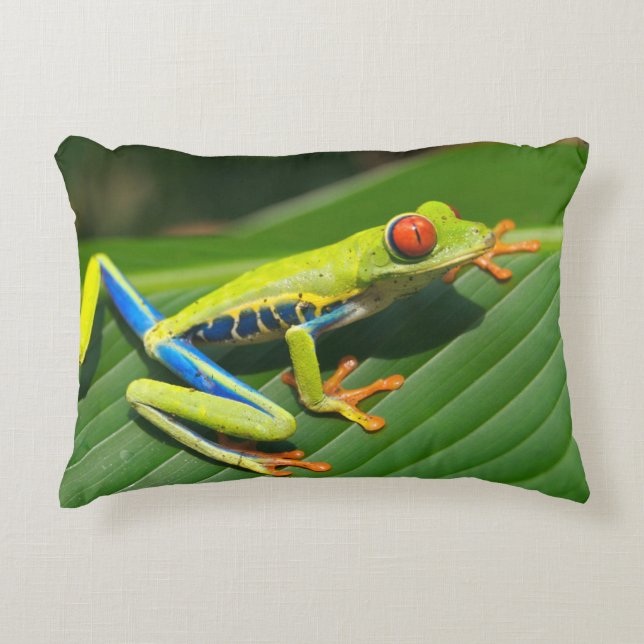 Tropical rainforest green red-eyed tree Frog Decorative Cushion (Front)