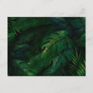 Tropical Rainforest Leafy Foliage Postcard