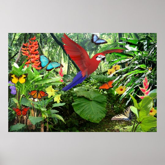 Tropical Rainforest Poster | Zazzle.co.uk