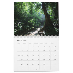 Tropical rainforests calendar