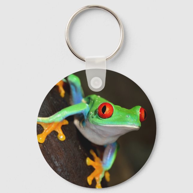 Tropical Red Eye Frog - Agalychnis Callidryas Key Ring (Front)