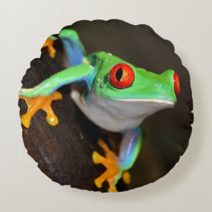 Tropical Red Eye Frog - Agalychnis Callidryas Round Cushion