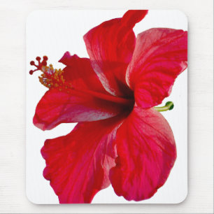 Tropical Red Hibiscus Flower Mouse Mat