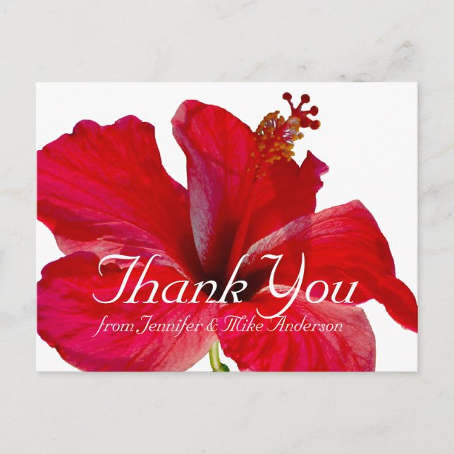 Tropical Red Hibiscus Flower Thank You Postcard (Front)