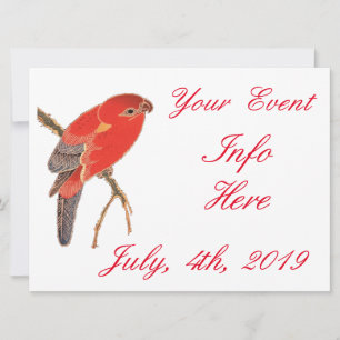 Tropical Red Parrot Flower Thunder_Cove