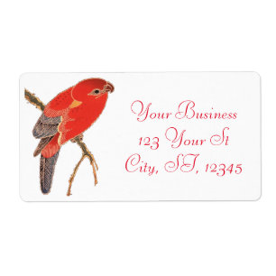 Tropical Red Parrot Thunder_Cove