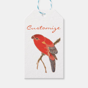 Tropical Red Parrot Thunder_Cove Gift Tags