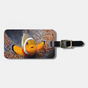 Tropical reef fish - Clownfish Luggage Tag