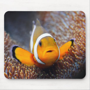 Tropical reef fish - Clownfish Mouse Mat