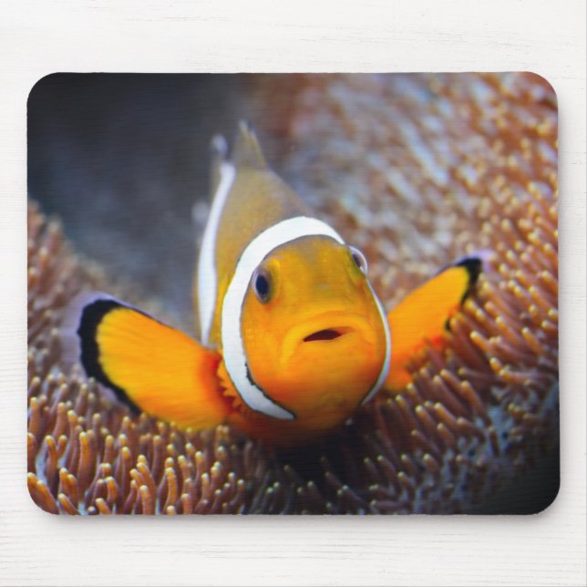 Tropical reef fish - Clownfish Mouse Mat (Front)