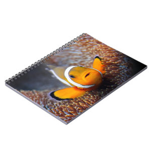 Tropical reef fish - Clownfish Notebook