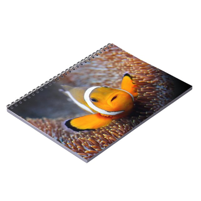 Tropical reef fish - Clownfish Notebook (Left Side)