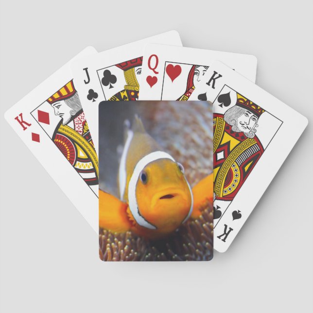 Tropical reef fish - Clownfish Playing Cards (Back)