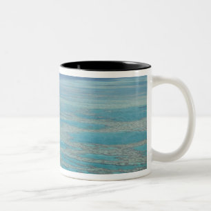 Tropical reef, Great Barrier Reef, Queensland, Two-Tone Coffee Mug