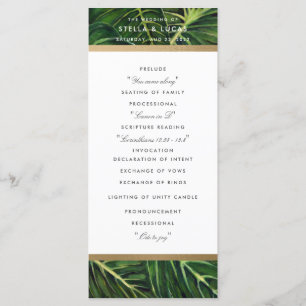 Tropical Romance II Programme