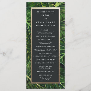 Tropical Romance / Program Programme