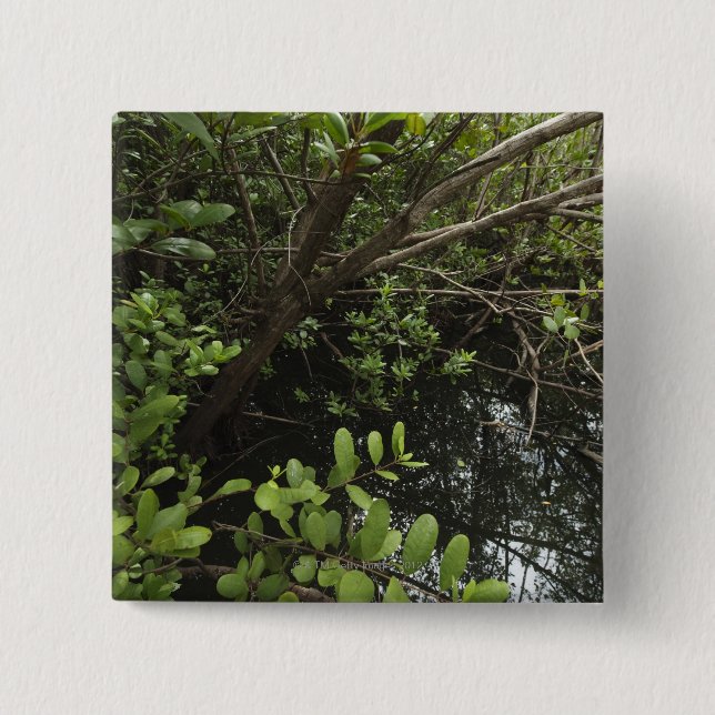 Tropical salt pond 15 cm square badge (Front)
