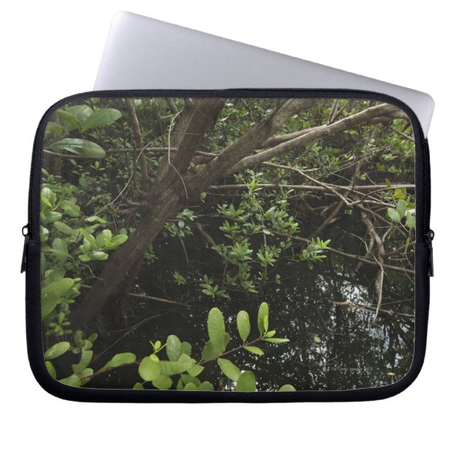 Tropical salt pond laptop sleeve (Front)