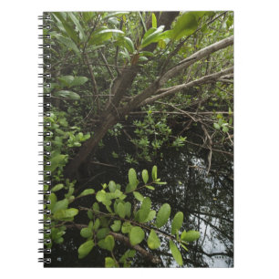 Tropical salt pond notebook