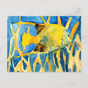 tropical saltwater fish sea life art painting gift postcard