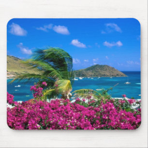 Tropical Scene Mouse Pad