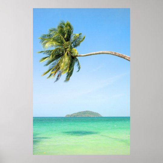 Tropical Scenery Poster