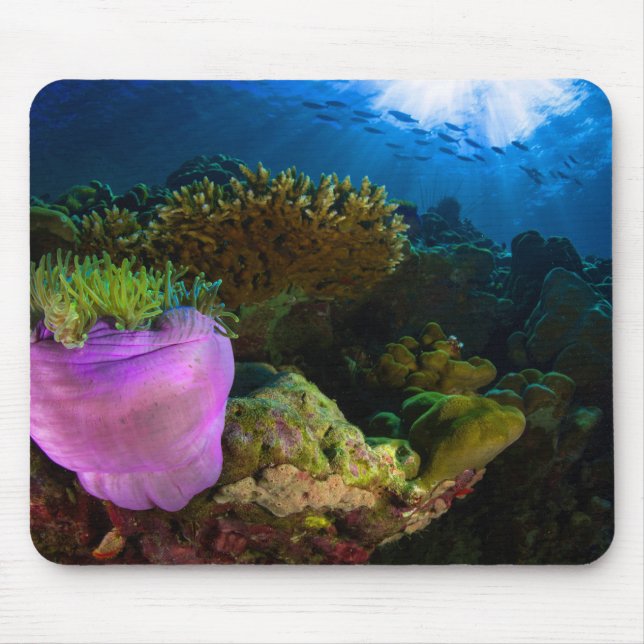 Tropical Sea Coral Mouse Mat (Front)