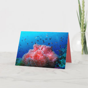 Tropical Sea Life Pink Glowing Anemone Coral Card