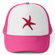 Tropical Sea Starfish