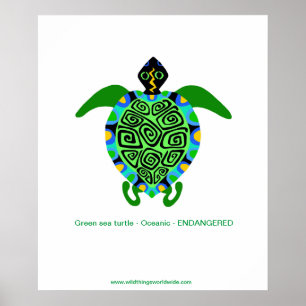 Tropical  Sea TURTLE -Endangered species - poster
