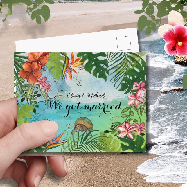 Tropical Sea Turtle We Got Married Postcard (Tropical Sea Turtle We Got Married Postcard)