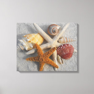 Tropical Seashell/Starfish White Sand Photo Canvas