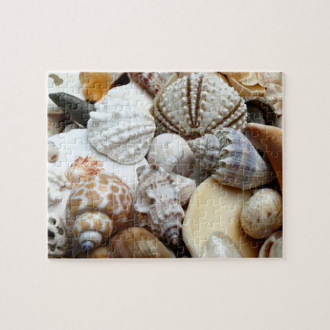 Tropical Seashells Photography Puzzle (Horizontal)