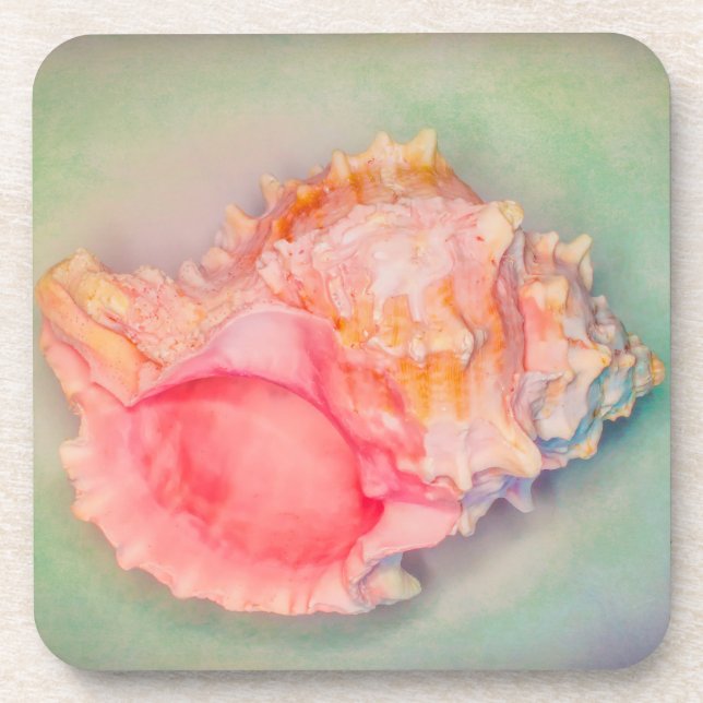 Tropical Shell Coaster (Front)