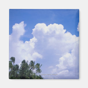Tropical shoreline magnet