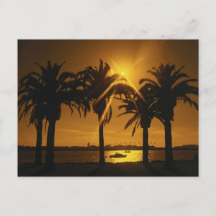 Tropical Sky Background Postcard