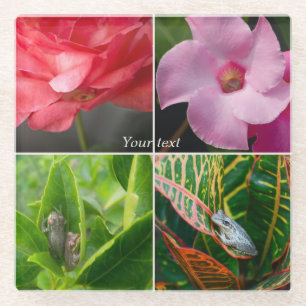Tropical small tree frogs in flowers and leaves glass coaster