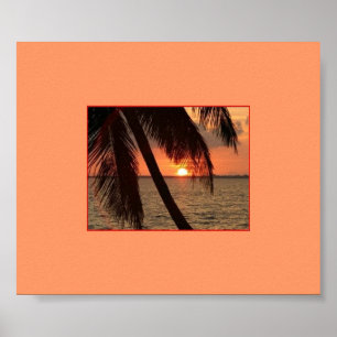 Tropical Splendor Poster