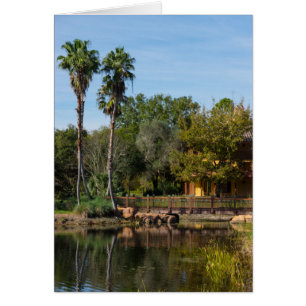 Tropical Springs Paradise