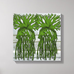 Tropical staghorn fern canvas print