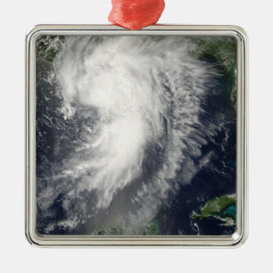 Tropical Storm Cindy Metal Tree Decoration