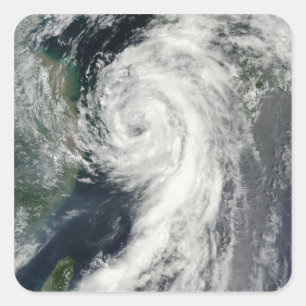 Tropical Storm Dianmu Square Sticker
