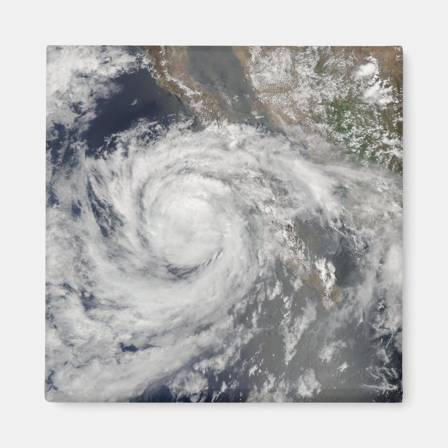 Tropical Storm Emilia Magnet (Front)