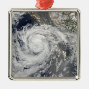 Tropical Storm Emilia Metal Tree Decoration