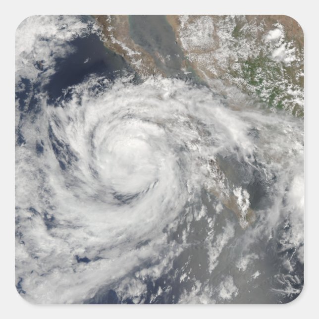 Tropical Storm Emilia Square Sticker (Front)